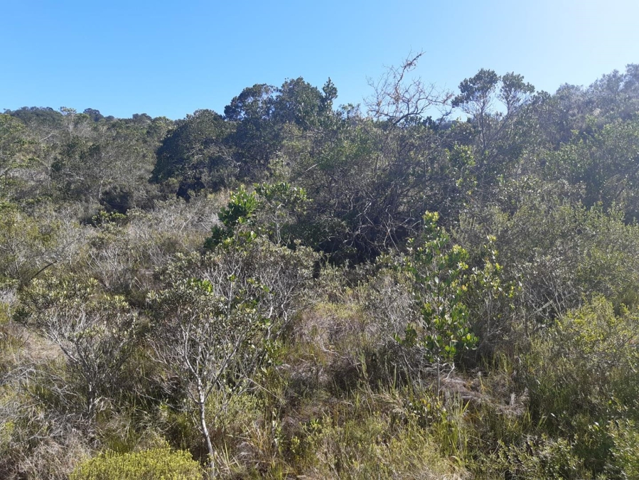 0 Bedroom Property for Sale in Gamtoos Mouth Eastern Cape